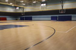 Gym Playing Surface